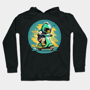 Drive safe Hoodie